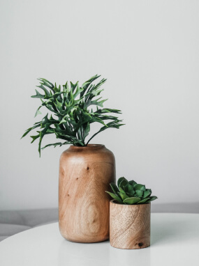 Wooden Greenery